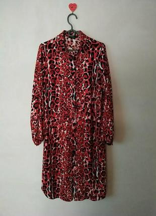 Сукня, сорочка