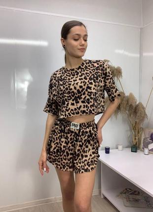 Комплект  leo