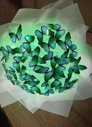 Буует з метеликів 🦋