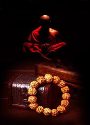 Магічний браслет з плодів дерева рудракша