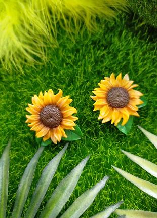 Соняхи сережки