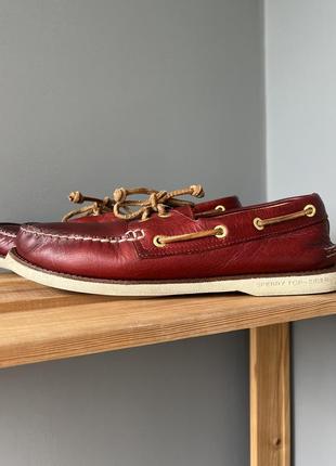 Топсайдери мокасини туфлі sperry бордові top sider шкіра