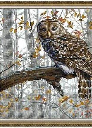 Набір для вишивання за нанесеною на канву схемою "owl 14". aida 14ct printed 44*35 см