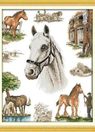 Набор для вышивания по нанесённой на канву схеме "the home of horse". aida 14ct printed 46*55 см