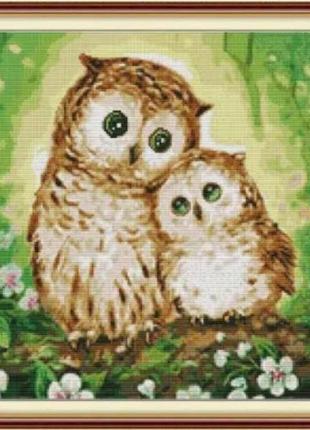Набор для вышивания по нанесённой на канву схеме "two owls 2".aida 14ct printed , 47*39 см