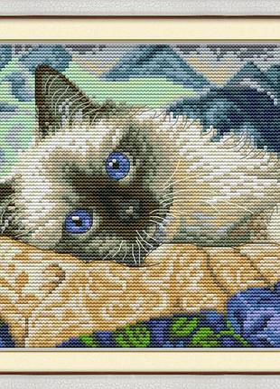 Набор для вышивания по нанесённой на канву схеме "the blue eyes cat" . aida 14ct printed, 30*21 см