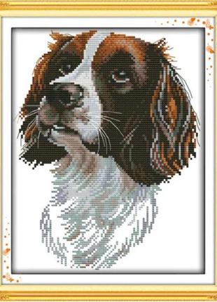 Набор для вышивания по нанесённой на канву схеме "the irish setter 1". aida 14ct printed 26*30 см