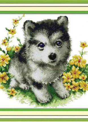 Набір для вишивання за нанесеною на канву схемою "husky" . aida 14ct printed, 33*31 см