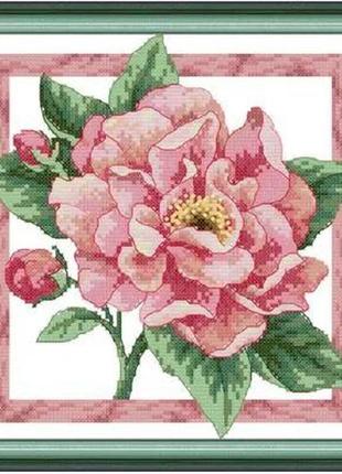 Набір для вишивання за нанесеною на канву схемою "peony in full bloom". aida 14ct printed, 26*26 см