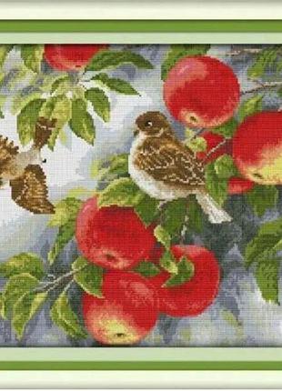 Набір для вишивання за нанесеною на канву схемою "birds and apples". aida 14ct printed 47*37 см