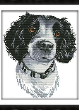 Набор для вышивания по нанесённой на канву схеме "the irish setter 2". aida 14ct printed 27*30 см