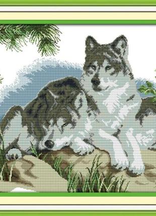 Набор для вышивания по нанесённой на канву схеме "a wolves couple".aida 14ct printed, 64*48 см