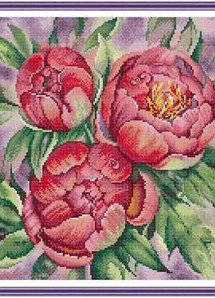 Набір для вишивання за нанесеною на канву схемою "peony". aida 14ct printed 37*37 см