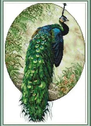 Набор для вышивания по нанесённой на канву схеме "peacock 4".aida 14ct printed , 34*48 см