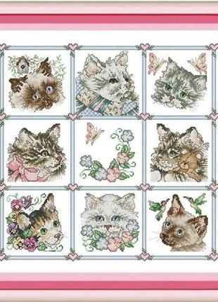Набір для вишивання за нанесеною на канву схемою "cute cats". aida 14ct printed 50*50 см
