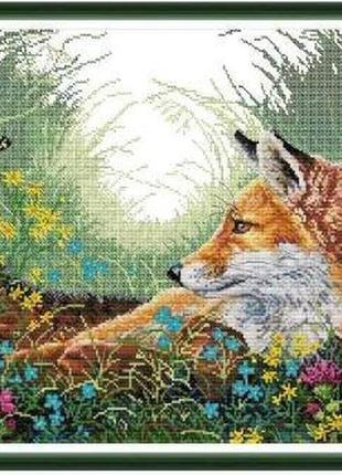 Набор для вышивания по нанесённой на канву схеме "fox 6". aida 14ct printed 54*42 см
