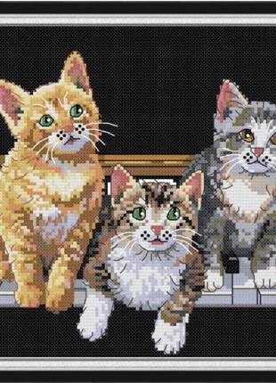 Набір для вишивання за нанесеною на канву схемою "three cats". aida 14ct printed 34*26 см