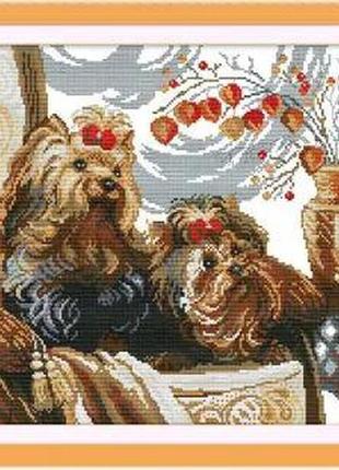 Набір для вишивання за нанесеною на канву схемою "two dogs (2)". aida 14ct printed 48*38 см