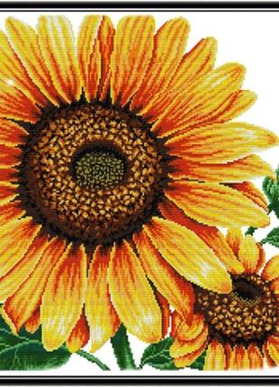 Набір для вишивання за нанесеною на канву схемою"sunflower (1)" aida 14ct printed,48*48см