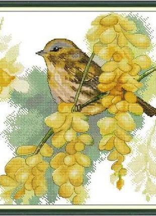 Набір для вишивання за нанесеною на канву схемою "sparrows and winter jasmine". aida 14ct printed 34*34 см