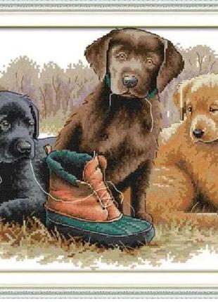 Набір для вишивання за нанесеною на канву схемою "three dogs". aida 14ct printed 42*31 см