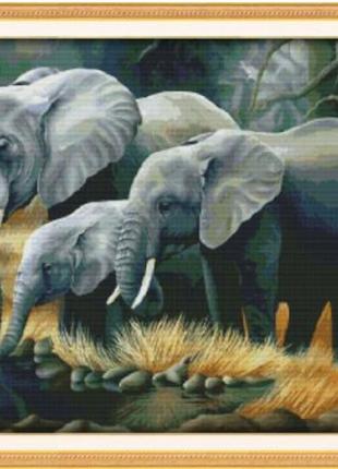 Набор для вышивания по нанесённой на канву схеме "the family of elephants". aida 14ct printed 68*55 см