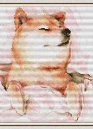 Набір для вишивання за нанесеною на канву схемою  "shiba inu in a rest".aida 14ct printed, 28*32 см