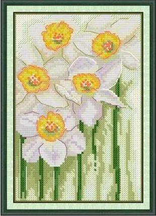 Набір для вишивання за нанесеною на канву схемою "daffodils". aida 14ct printed, 15*21 см