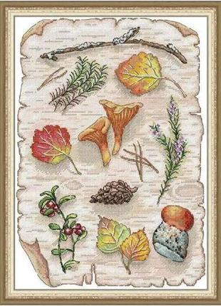 Набор для вышивания по нанесённой на канву схеме "forest secret". aida 14ct printed, 32*43 см