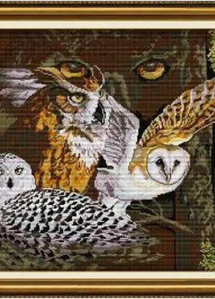 Набор для вышивания по нанесённой на канву схеме "owl 11". aida 14ct printed 55*48 см