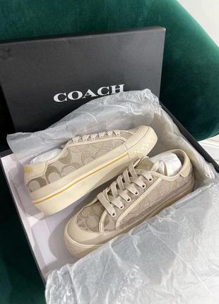 Кеди coach