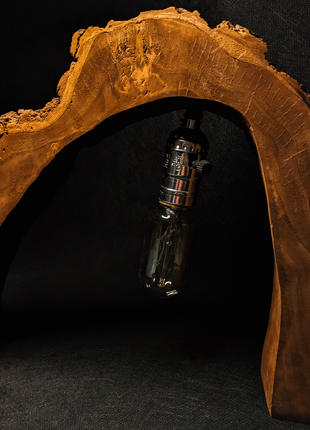 Настольный светильник "firefly"