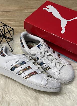 Женские кроссовки adidas superstar 38 (23.5см) оригинал1 фото