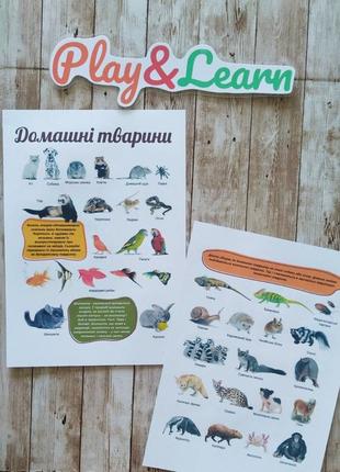 Плакати домана домашні тварини