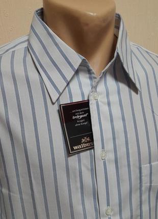 Шикарная белая рубашка в голубую полоску walbusch extraglatt с биркой, молниеносная отправка