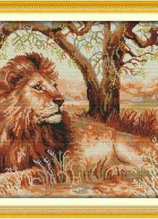 Набор для вышивания по нанесённой на канву схеме "the african lion". aida 14ct printed 51*36 см