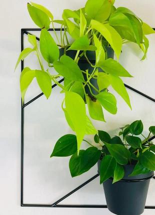 Настінна підставка для квітів на три горщики orizon craft 80х50 чорна