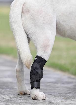 Бандаж фіксатор універсальний для суглобів для тварин собак