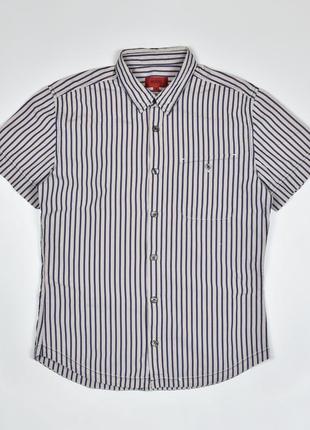 Сорочка теніска hugo boss розмір m // рубашка бавовна короткий рукав смужка1 фото