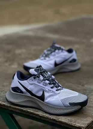 Мужские кроссовки nike pegasus trail 35 фото