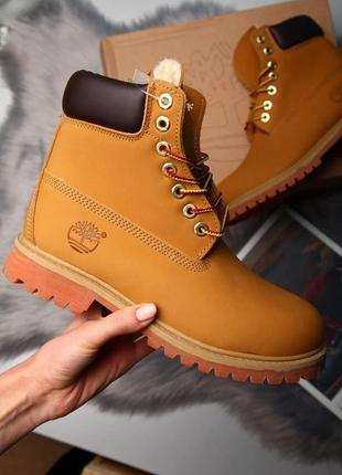 Черевики timberland classic