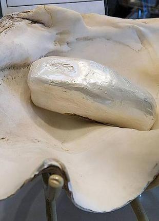 Браслет - шамбала из натурального камня ракушки тридакна3 фото
