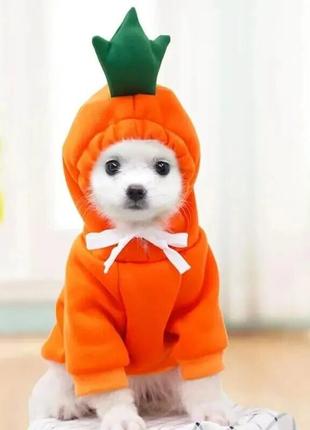 Толстовка для собак і кішок "orange carrot" size m