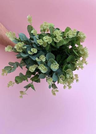 Зеленые листья эвкалипта для создания букетов из мыльных цветов4 фото