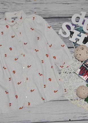 13 - 14 років 164 см фірмова сорочка блузка блуза для модниць легка з лисичками лисичка лис jbc