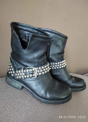 Steve madden  черевики