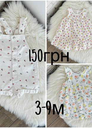 Сукні/комбінезон