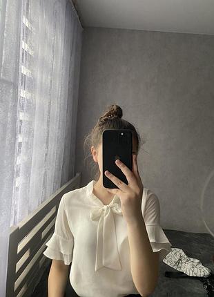 Блузки жіночі