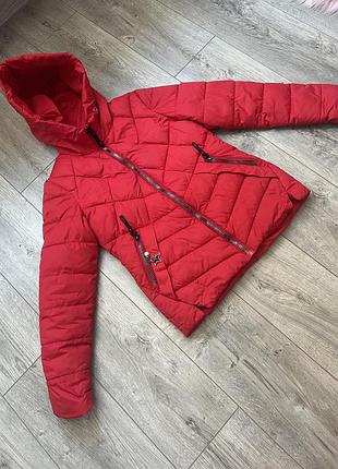 Куртка осень весна