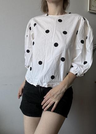 Хлопковая блуза в горох